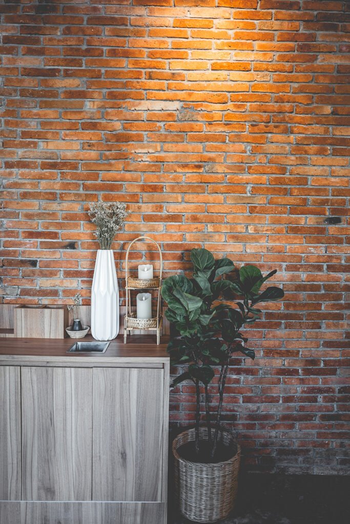 Interior design of a Happy Bones style, Coffee shop, cafe Cafe s